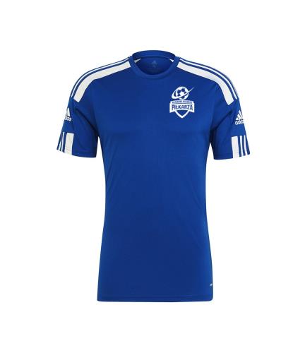 Bluza bramkarska AM / AMP Senior